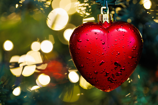 A close up shot of a Christmas decoration hanging on the Christmas tree