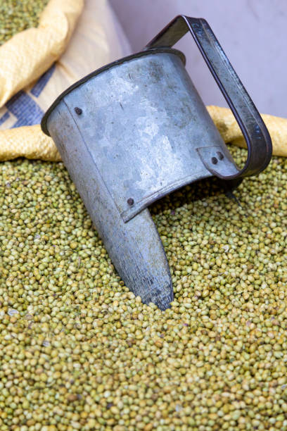 istock Spice Market, Mumbai 1826820691