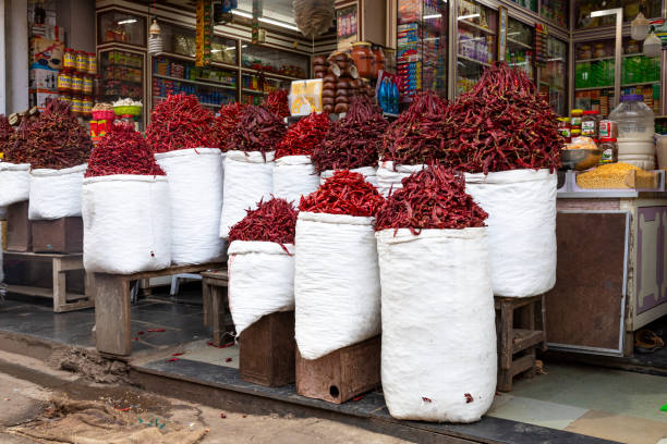 This image vividly brings to life the bustling Spice Market in Mumbai, a sensory-rich destination for both locals and visitors. The market is a mosaic of colours and fragrances featuring a wide variety of spices such as turmeric, cumin, coriander, cardamom, and exotic spice blends that are central to Indian cooking. Notably prominent are the various types of chillis, from fiery red to deep green, adding both heat and depth to the culinary palette. These spices are displayed in heaps and baskets, creating an inviting and aromatic tapestry. This photo aims to showcase the Spice Market as a symbol of Mumbai's rich culinary culture, where every spice and chilli tells a story of tradition, flavour, and the essence of Indian cuisine.