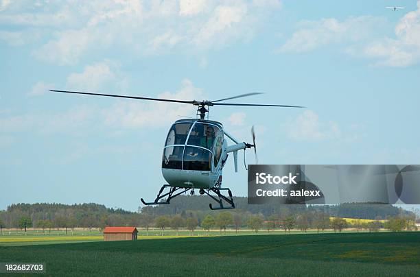 Elicottero Di Destinazione - Fotografie stock e altre immagini di Albero - Albero, Ambientazione esterna, Andare giù