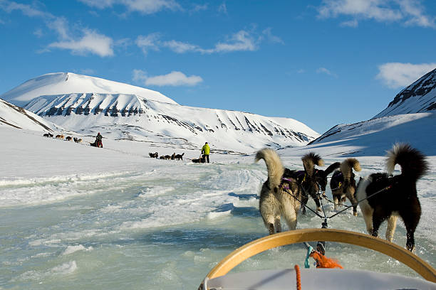 собачьи нарты - arctic circle wintry landscape mountain mountain range стоковые фото и изображения
