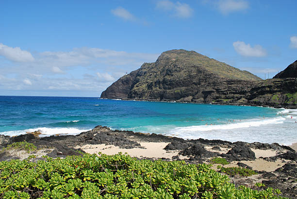 istock Makapuu Beach Park in Oahu. 182682807