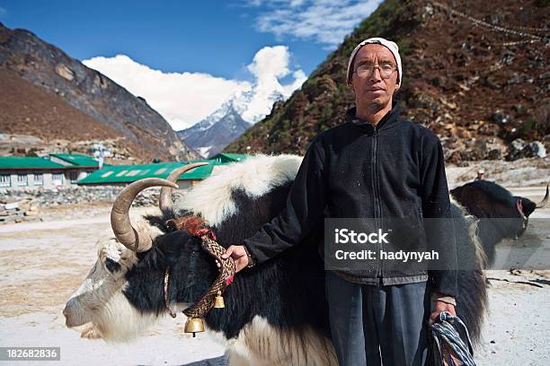 Sherpa Mit Yak Im Himalaya Village Sagarmatha National Park Stockfoto und mehr Bilder von Sherpa