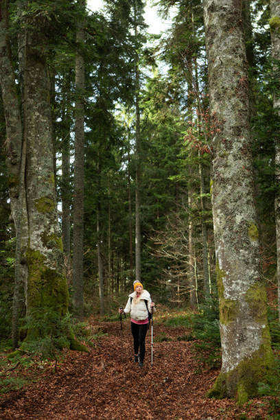 istock Young Woman Hiking Through Scenic Wilderness 1826828697