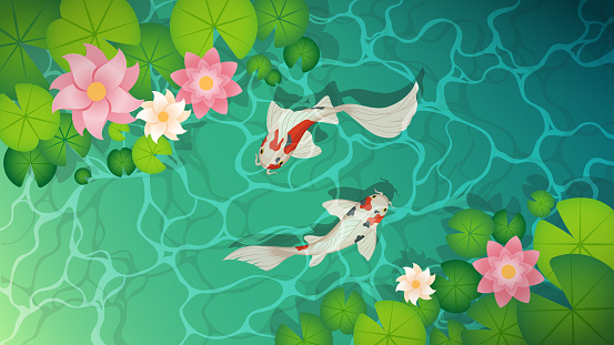 Pond with koi fish and water lily leaves top view. Vector cartoon landscape of green lake or river surface with water plants and koi fish.