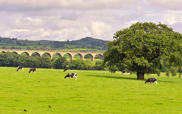 campagne anglaise pittoresque dans le yorkshire - west yorkshire photos et images de collection