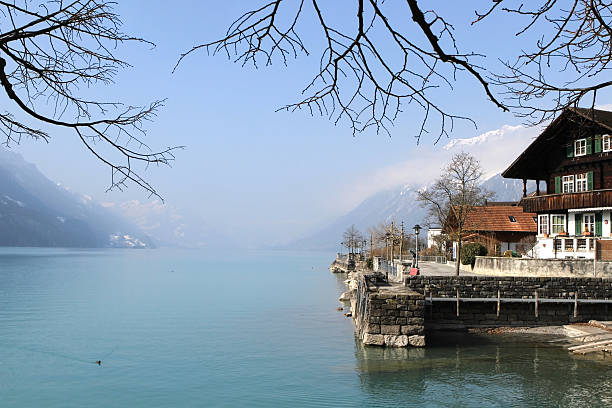 chalet sul lago di brienz, berna, svizzera. - swiss culture chalet brienz european alps foto e immagini stock