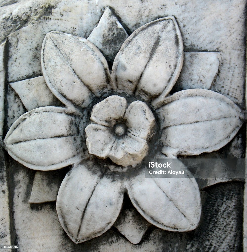 Roman fleur 2 000 ans. - Photo de Cercle libre de droits