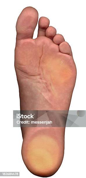 Sole Stock Photo - Download Image Now - Adult, Barefoot, Concepts