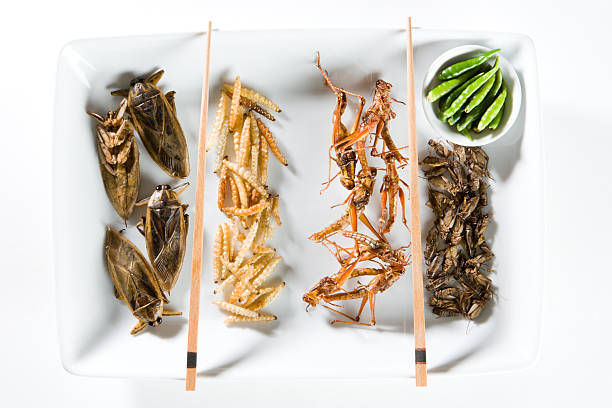 Fried Bugs Fried Insects Being Served On A Plate. Other Fried Insect Shots: grasshopper photos stock pictures, royalty-free photos & images