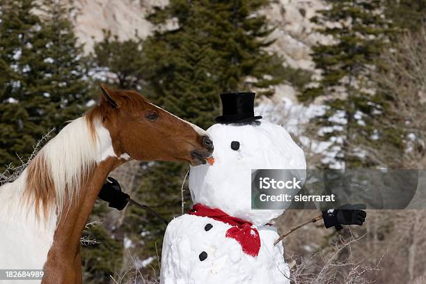 Ouch Foto de stock y más banco de imágenes de Caballo - Familia del caballo - Caballo - Familia del caballo, Navidad, Muñeco de nieve