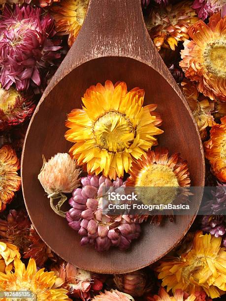 Foto de Flores Secas Para Chá e mais fotos de stock de Abundância - Abundância, Amarelo, Cabeça da flor