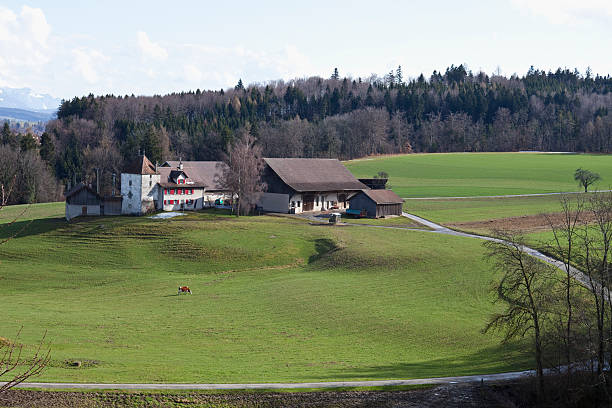 istock Chateau and Farmstead in Vaud, Spring, with Cow 182685606