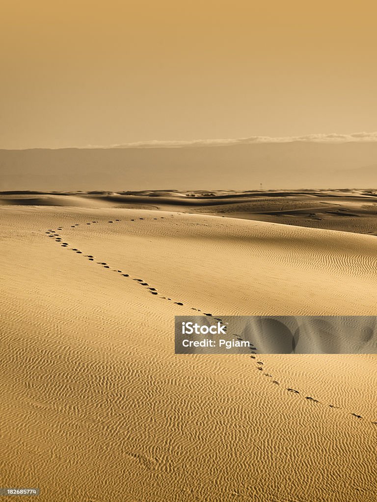 Le dune sabbiose percorso nel deserto - Foto stock royalty-free di Ambientazione tranquilla