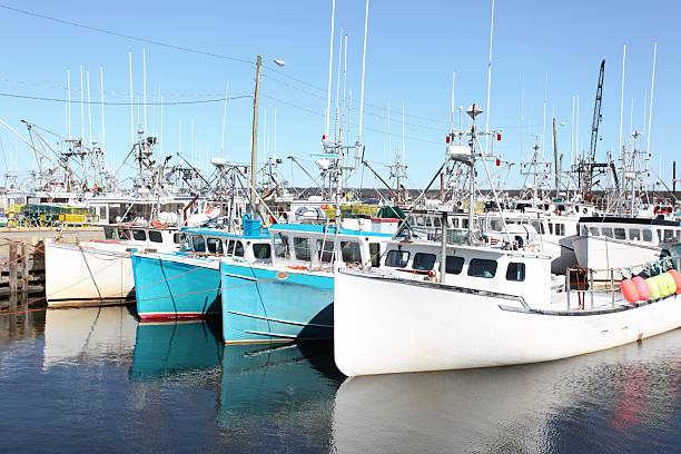 istock Fishing boats 182686168