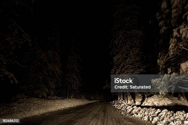 Winter Nacht Fahren Stockfoto und mehr Bilder von Dunkel - Dunkel, Tiefschnee, Auto