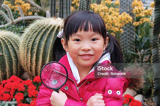Exkursion Zum Greenhouse Stockfoto und mehr Bilder von Bildung - Bildung, Chinesischer Abstammung, Exkursion