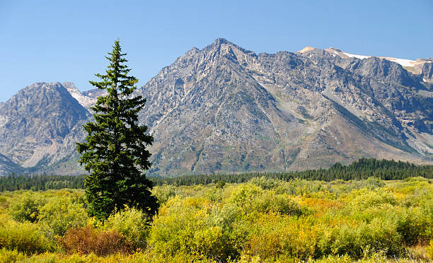 istock Grand Tetons National Park 182686527