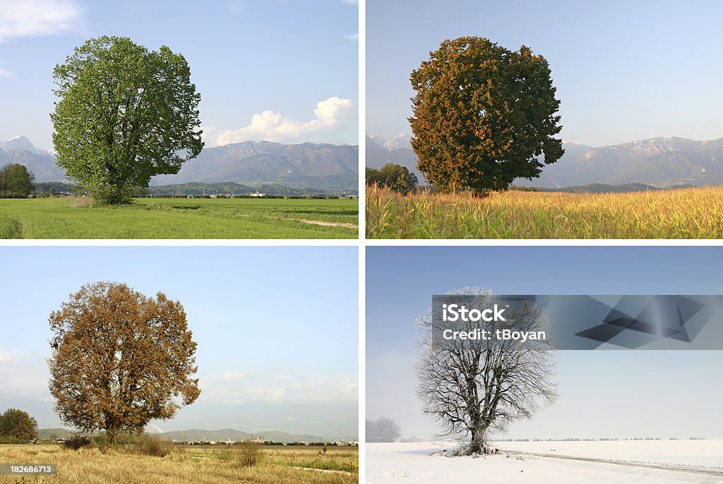Four seasons - Lizenzfrei Vier Jahreszeiten Stock-Foto