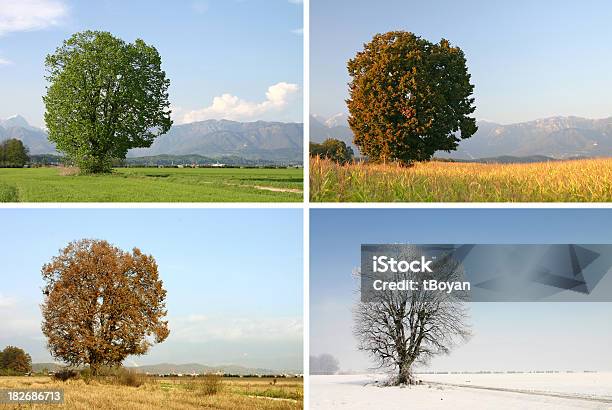 Four Seasons Stockfoto und mehr Bilder von Vier Jahreszeiten - Vier Jahreszeiten, Baum, Sommer