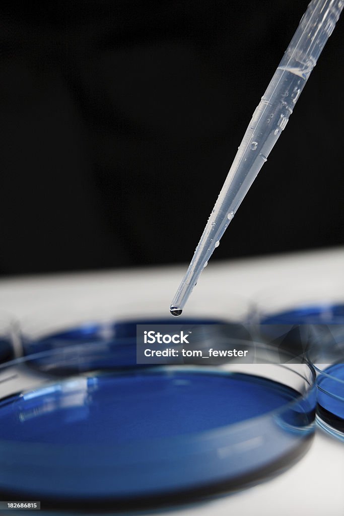 Pipette &amp; Petri Dish containing blue substance Pipette dropping clear liquid into Petri Dish containing blue substance. Antibiotic Stock Photo