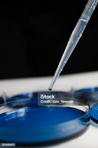 Pipette Amp Petri Dish Containing Blue Substance Stock Photo - Download Image Now - Antibiotic, Bacterium, Beauty