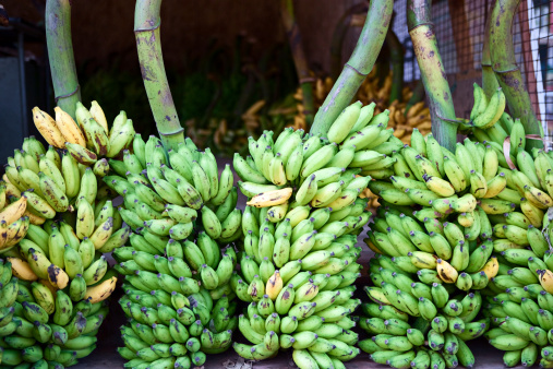 Bananas for sale, Kerala, India.