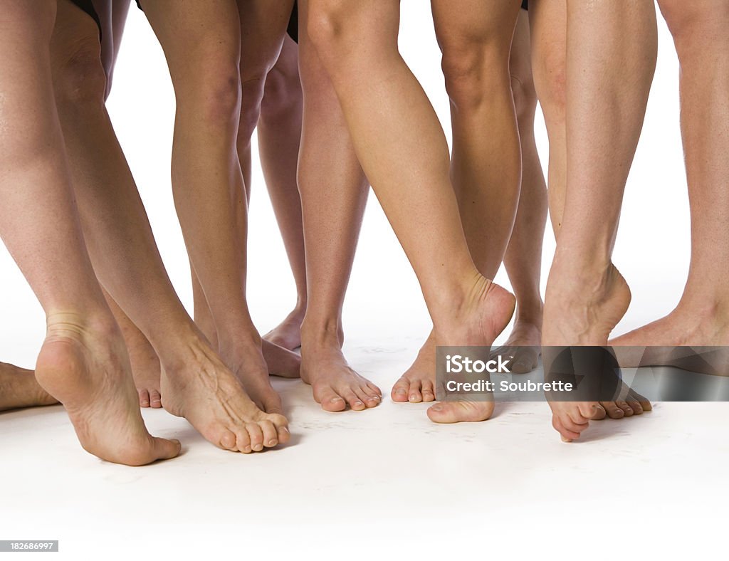 LEGS! A gaggle of gambs... Adult Stock Photo