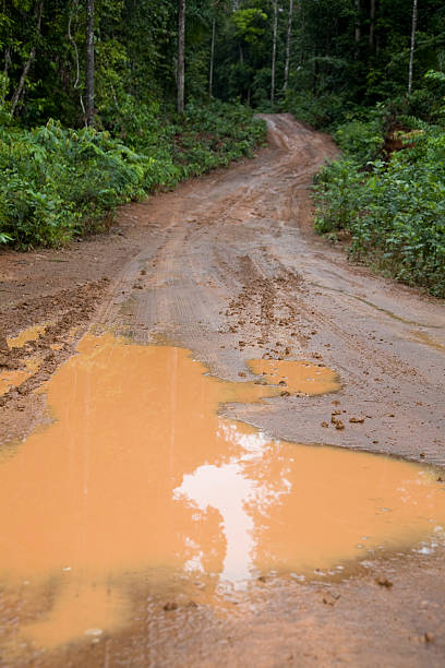 istock Suriname, road to Brounsberg. 182687073