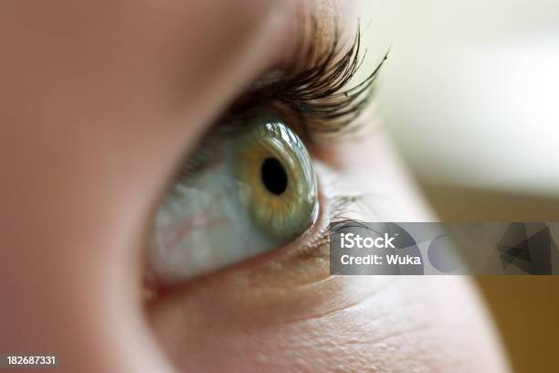 Foto de Visual e mais fotos de stock de Olho - Olho, Olhar para Cima, Adolescentes Meninas