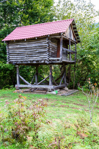 istock old log hut over ground for storing crops 1826873678