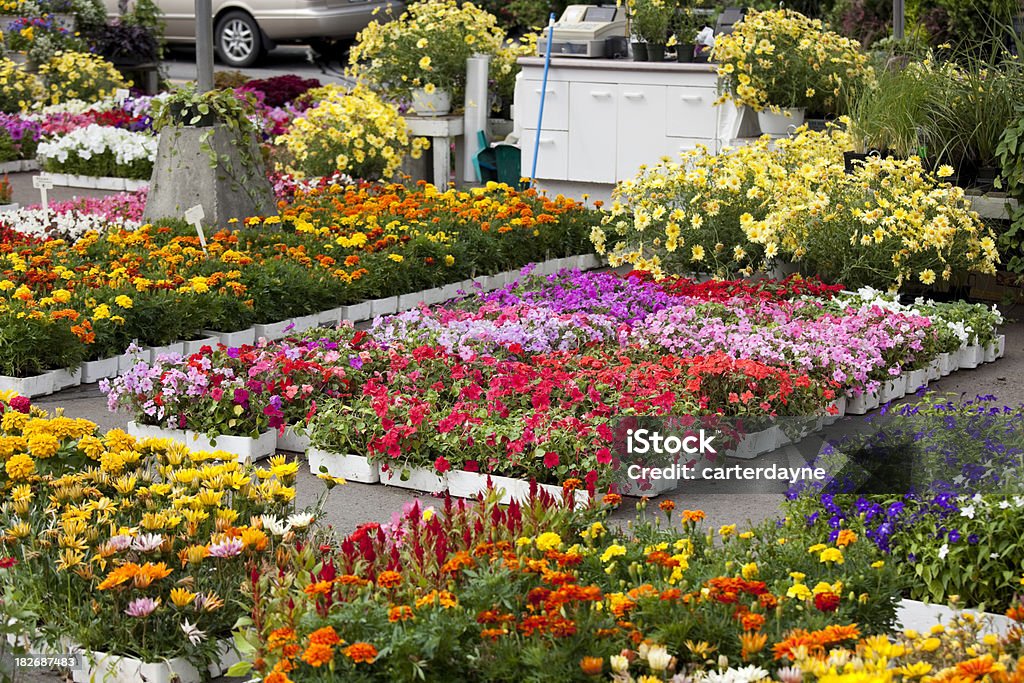 Centro de Jardinagem e um Viveiro de Plantas com Flores de Primavera de Jardinagem - Royalty-free 2000-2009 Foto de stock