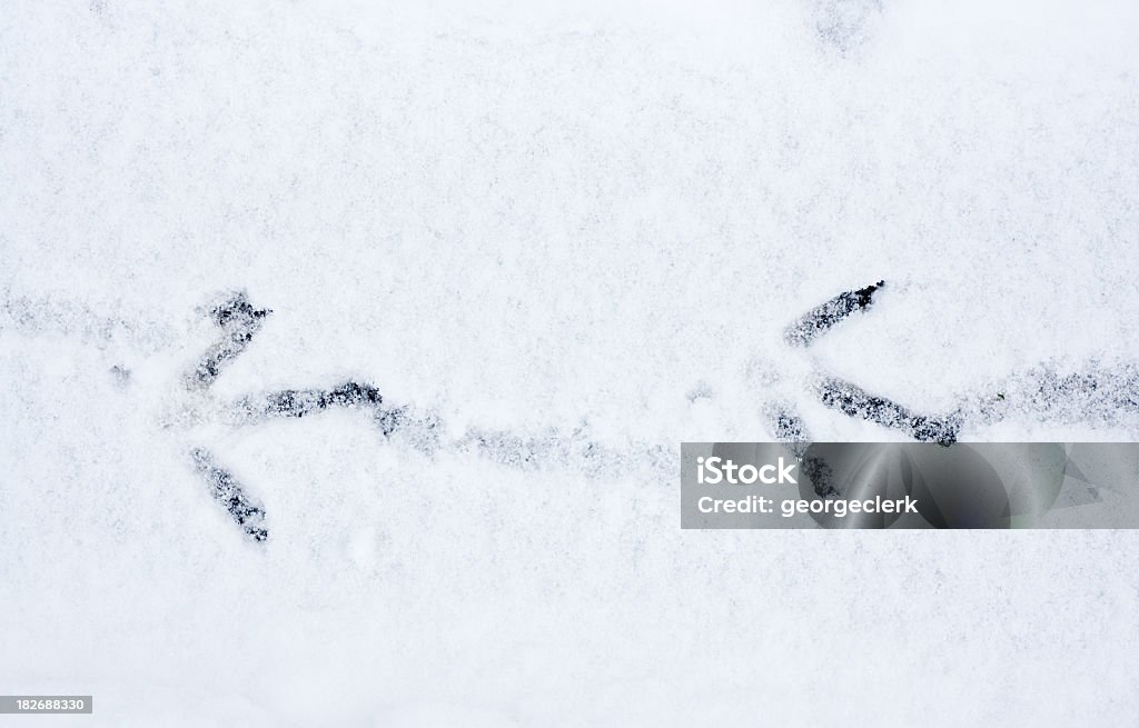 Курица места в снегу - Стоковые фото Без людей роялти-фри