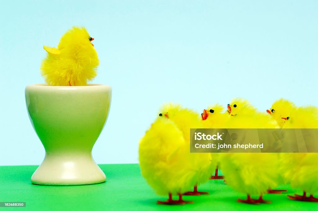 Ostern Küken, predigen und hören - Lizenzfrei Eierbecher Stock-Foto