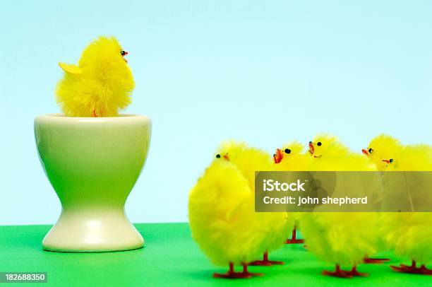 Ostern Küken Predigen Und Hören Stockfoto und mehr Bilder von Eierbecher - Eierbecher, Festliches Ereignis, Fotografie