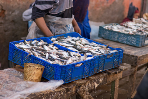 At the fish market in Marrakesh in the open airOther Marrakesh photos: