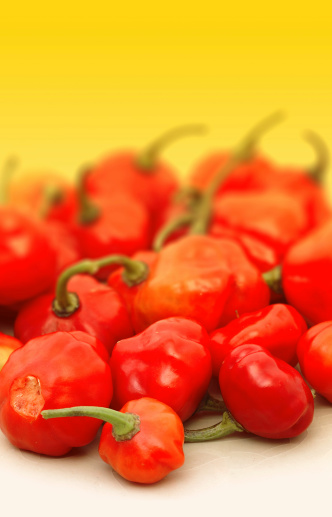 very hot red peppers (aji cachucha)