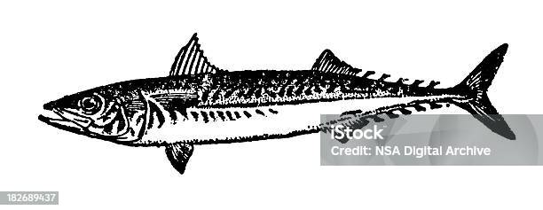Vetores de Cavalaantigo Ilustrações De Animais e mais imagens de Cavalinha - Peixe de água salgada - Cavalinha - Peixe de água salgada, Alto contraste, Animal