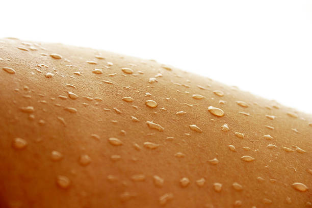gouttes d'eau sur la peau - peau transpiration photos et images de collection
