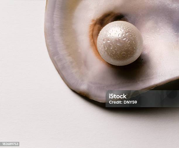パール - 海のストックフォトや画像を多数ご用意 - 海, 真珠, 真珠貝