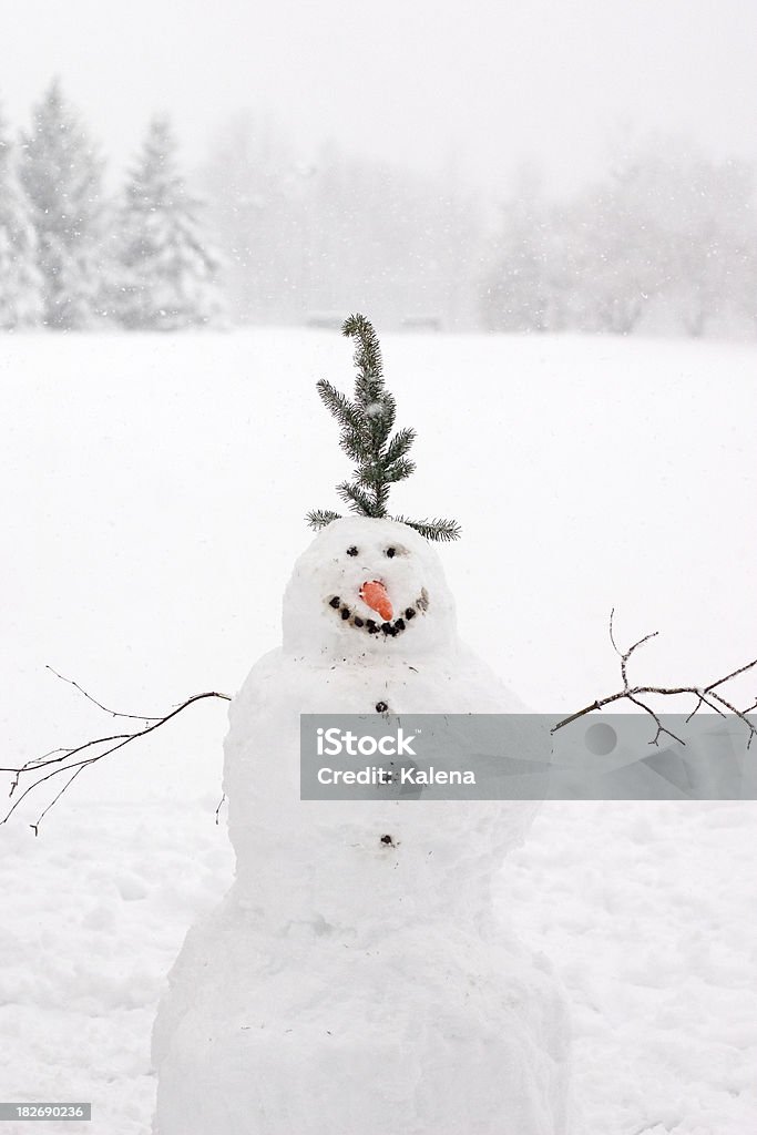 Bonhomme de neige - Photo de Bonhomme de neige libre de droits
