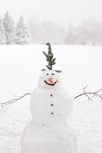 Snowman stock photo