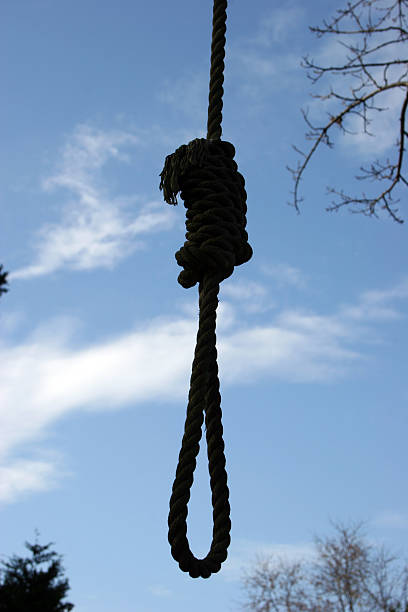 Hang 'Em High Close Up "Sillouette of noose on tree, close-upSimilar image:" silhouette of the hanging noose stock pictures, royalty-free photos & images