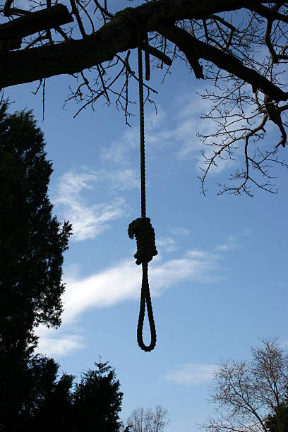 Hang 'Em High Sillouette of noose hanging from tree limbSimilar image: silhouette of the hanging noose stock pictures, royalty-free photos & images