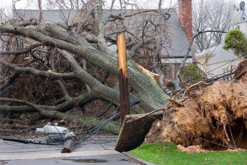 Tree falls after Nor'easter storm and takes down a telephone pole with Transformer.Please Also See: