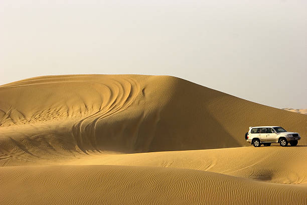 pustynne safari - sandscape zdjęcia i obrazy z banku zdjęć