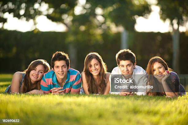 Joyful Friends Smiling At The Camera Stock Photo - Download Image Now - 20-29 Years, Adolescence, Adult