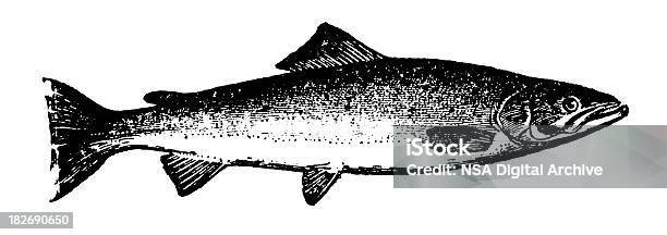 연어색 앤틱형 짐승 일러스트 캐비어에 대한 스톡 벡터 아트 및 기타 이미지 - 캐비어, 0명, 19세기