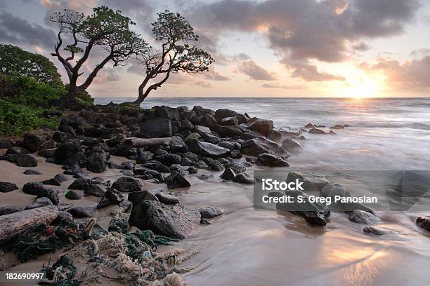 Amanecer De Kauai Foto de stock y más banco de imágenes de Agua - Agua, Aire libre, Arena