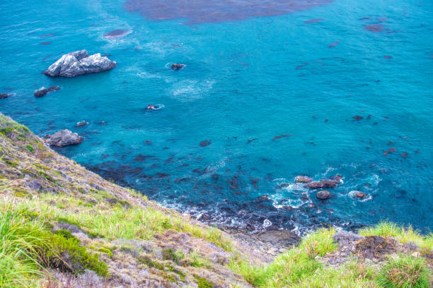Road along Big Sur coastline, California